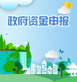 政府资金申报