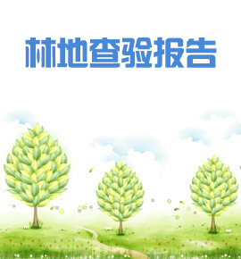 拟使用林地现场查验报告