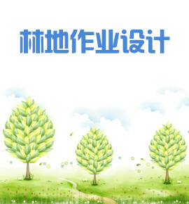 林业作业设计调查