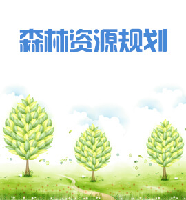 森林资源规划设计