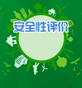 安全性评价